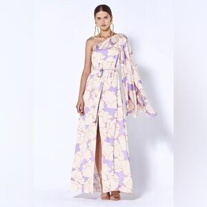 Alexis Leonette Asymmetrical Dress NWOT